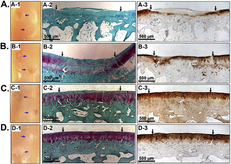 Figure 10.