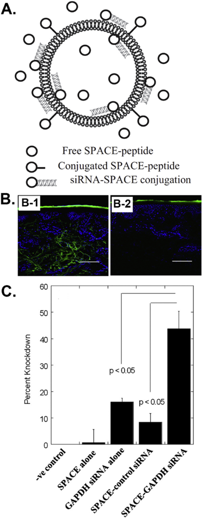 Figure 12.