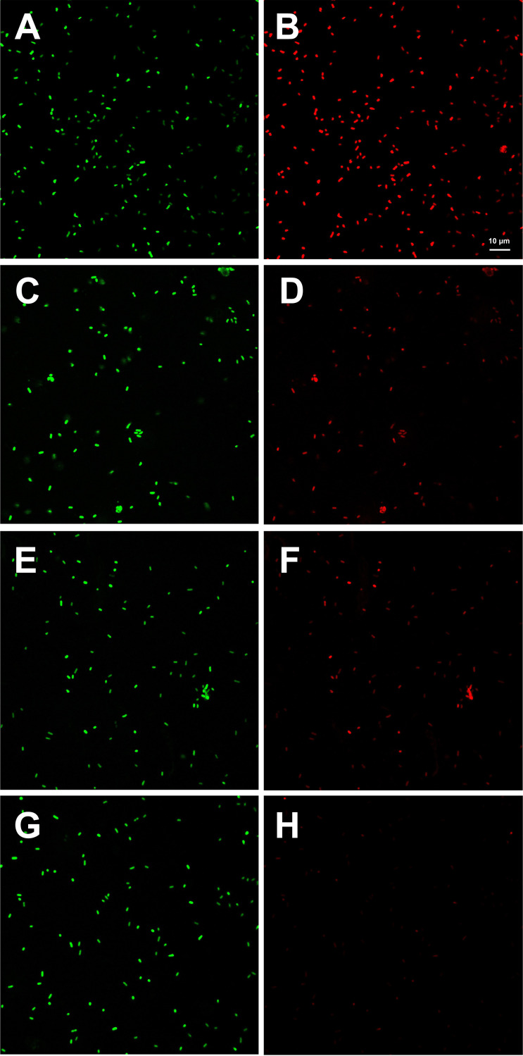 FIG 2