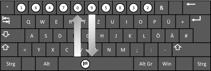 Fig. 1