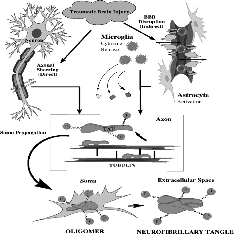 FIG. 1.