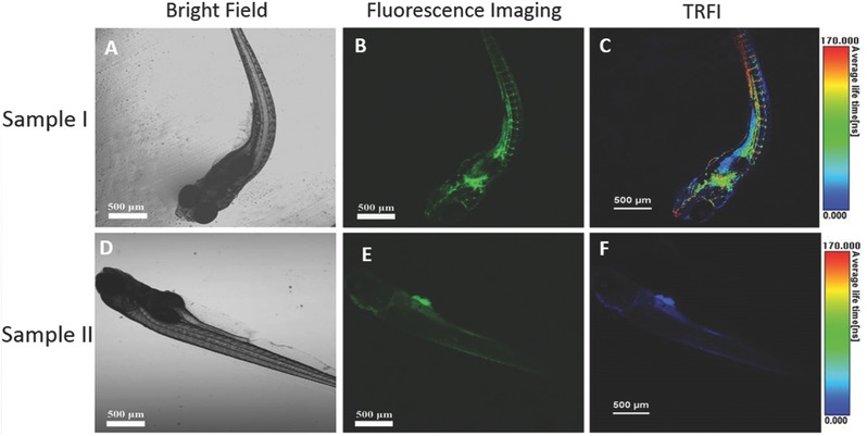 Figure 12