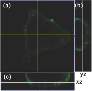 Figure 11