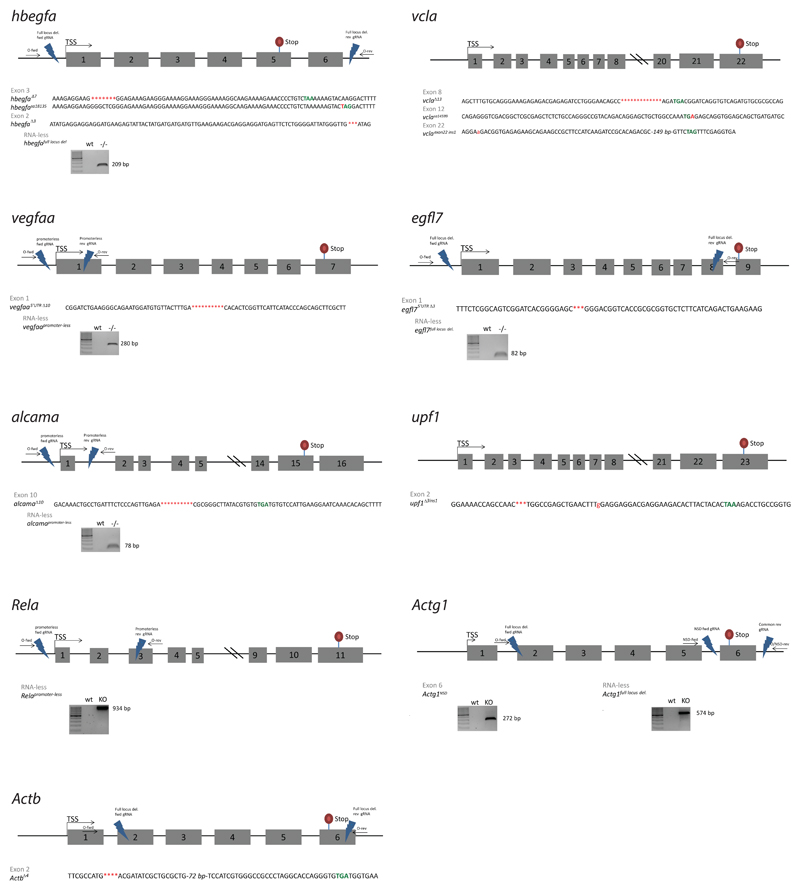 Extended Data Figure 1