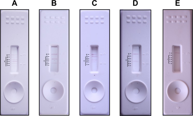 Fig 4