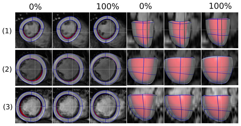 Fig. 8