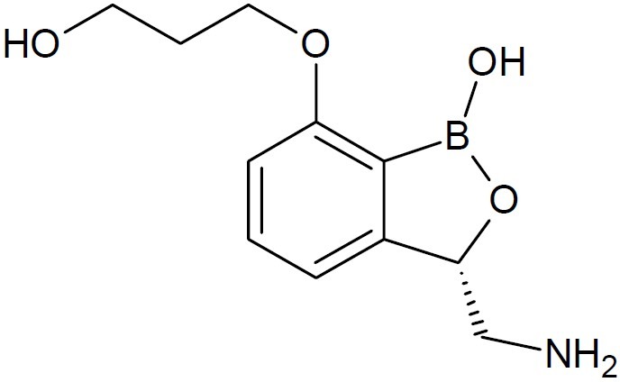 Fig. 12