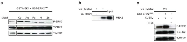 Extended Data Figure 1