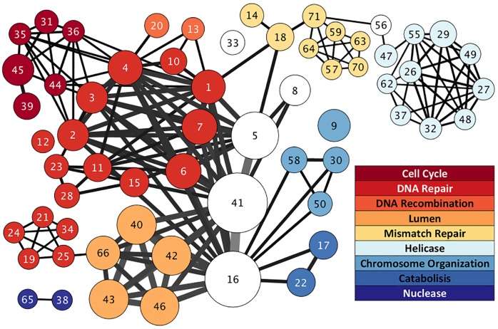 Fig 4