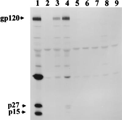 FIG. 7