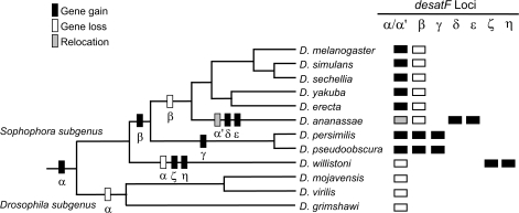 FIG. 1.—