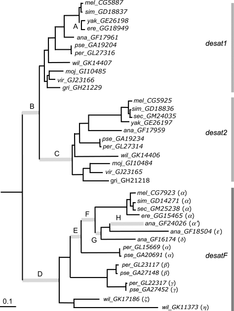 FIG. 2.—