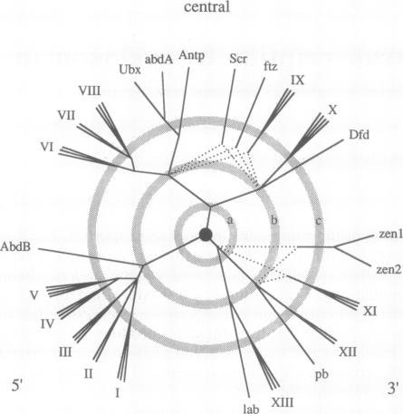 graphic file with name pnas01099-0162-a.jpg