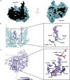 Figure 3