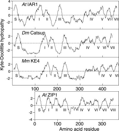 Figure 7.