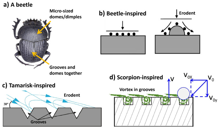 Figure 13