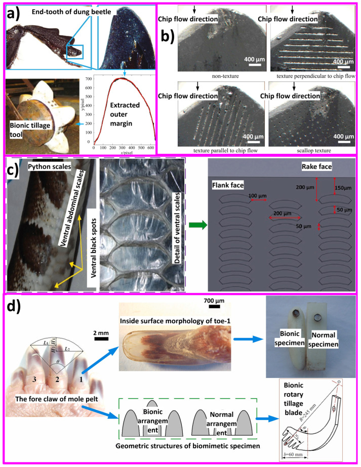 Figure 19