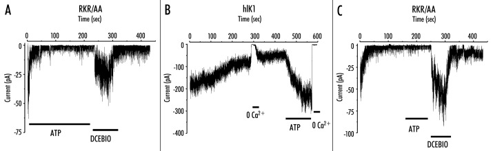 Figure 4. 