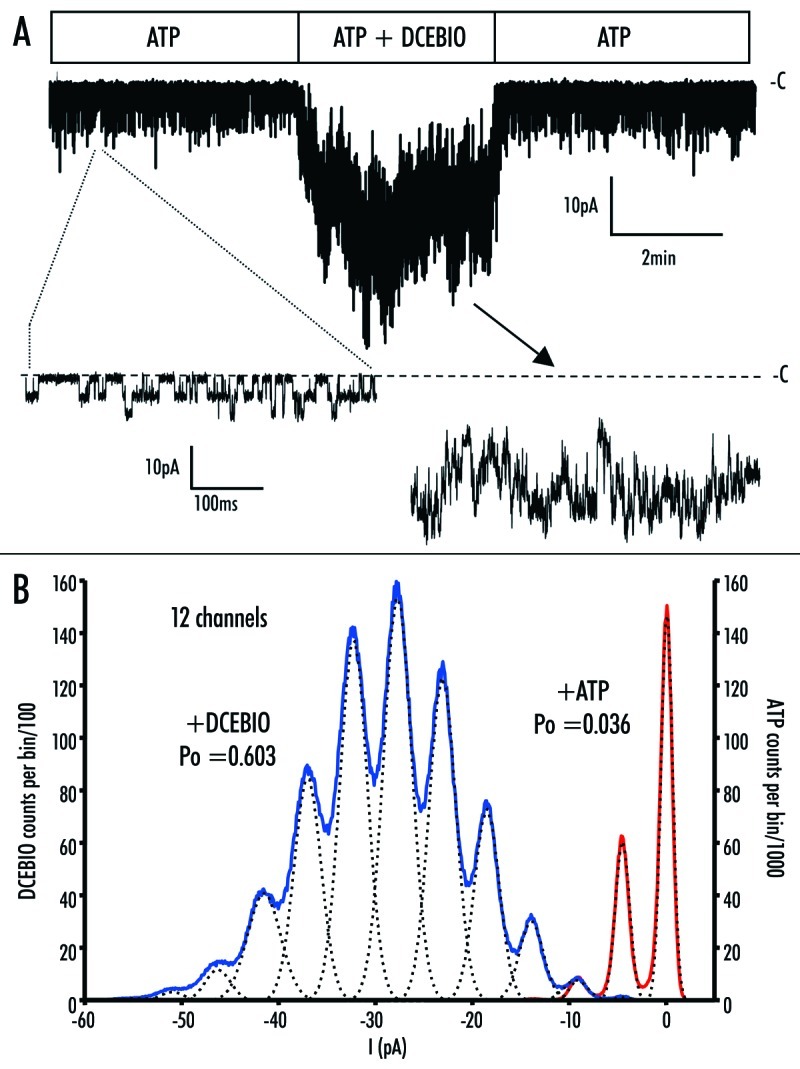 Figure 9. 