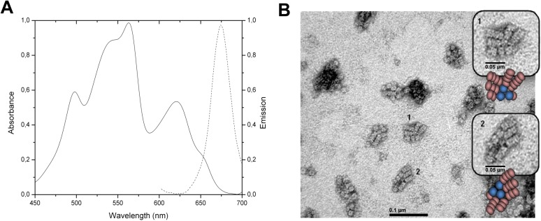 Fig 1