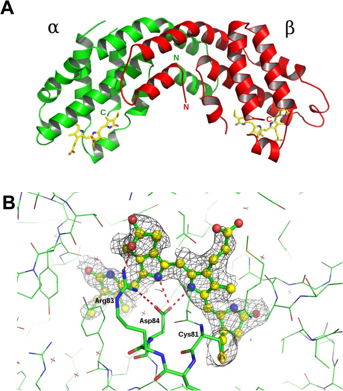 Fig 4