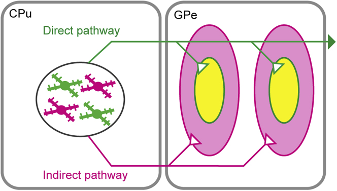 Figure 9