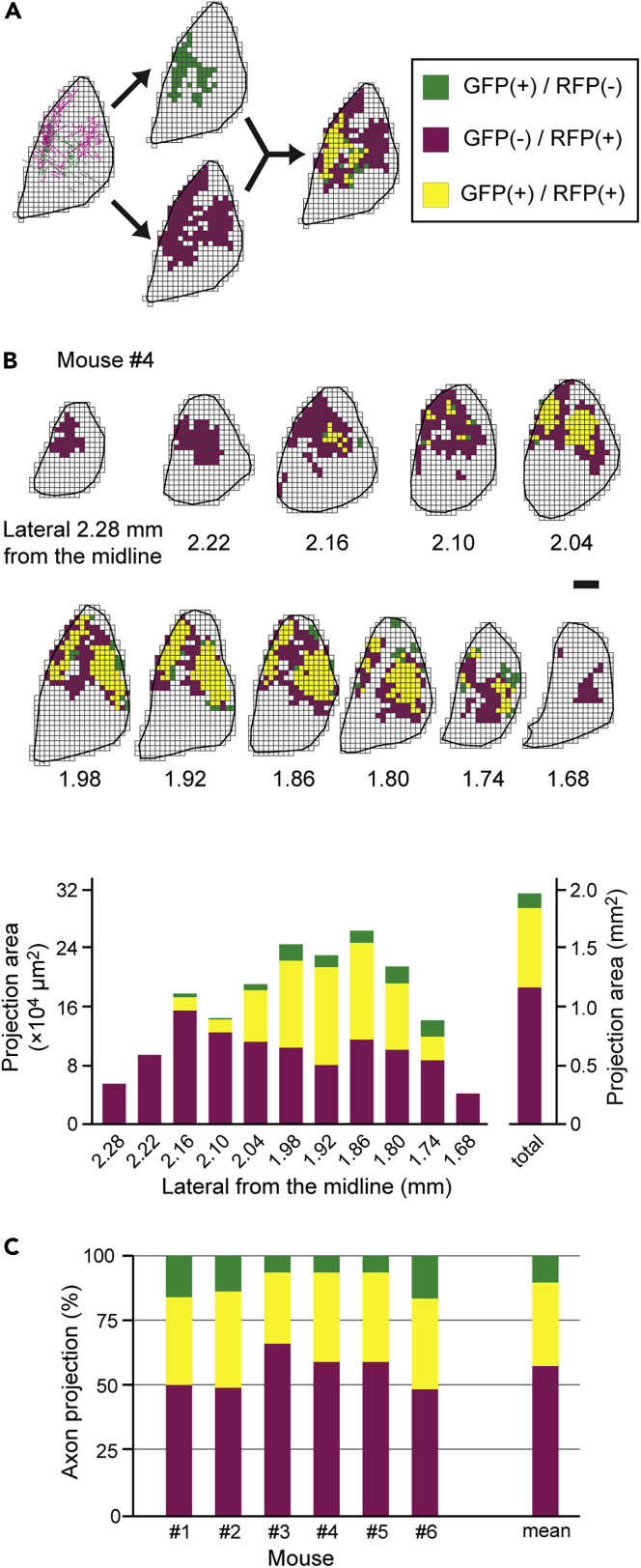 Figure 6