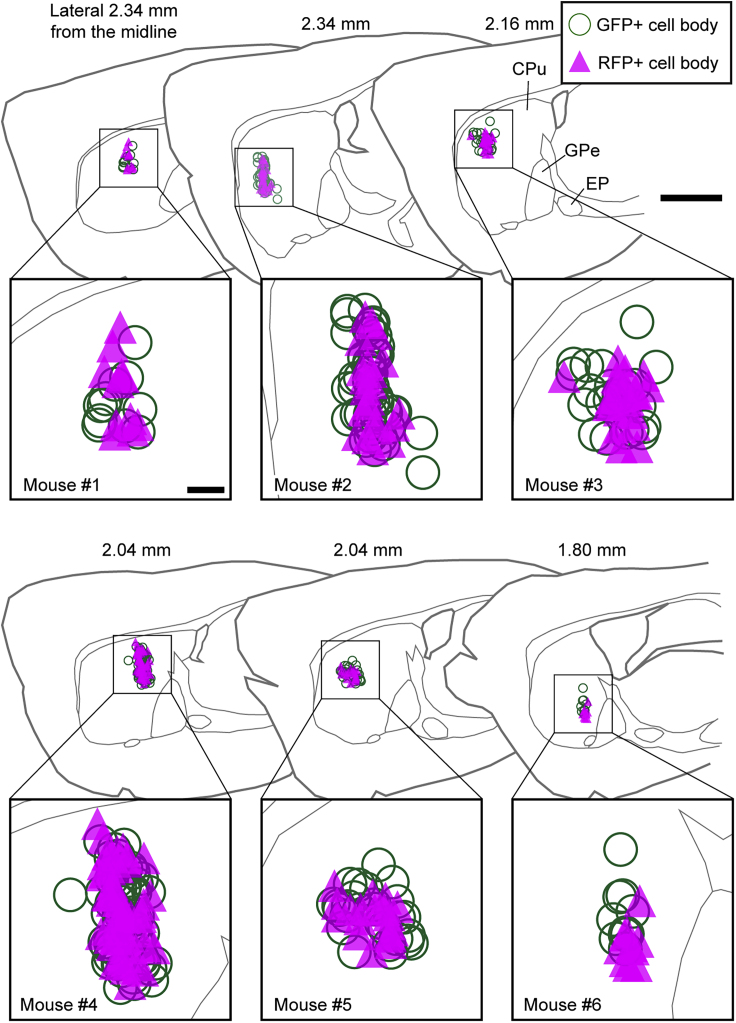 Figure 3