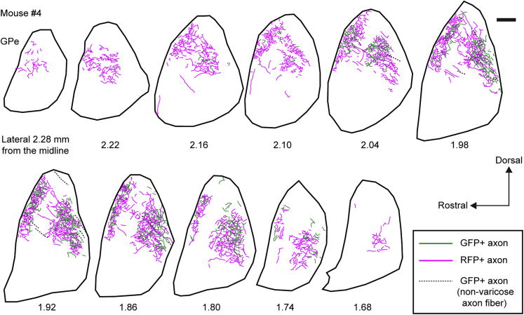 Figure 4