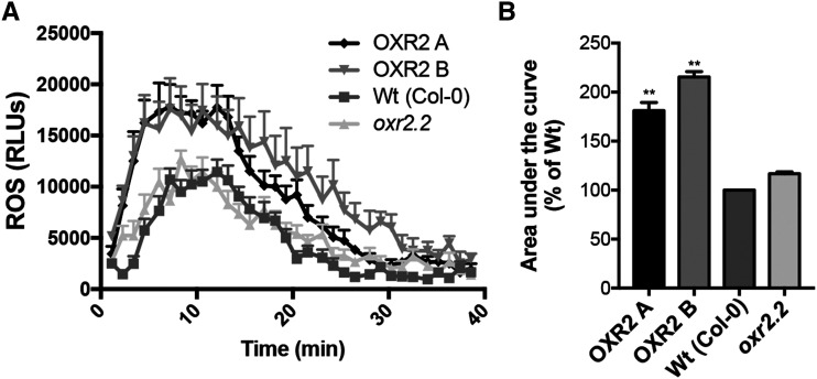 Figure 3.