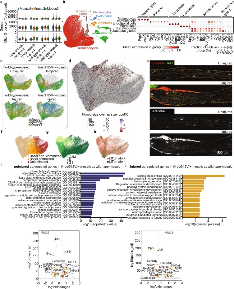 Extended Data Fig. 4