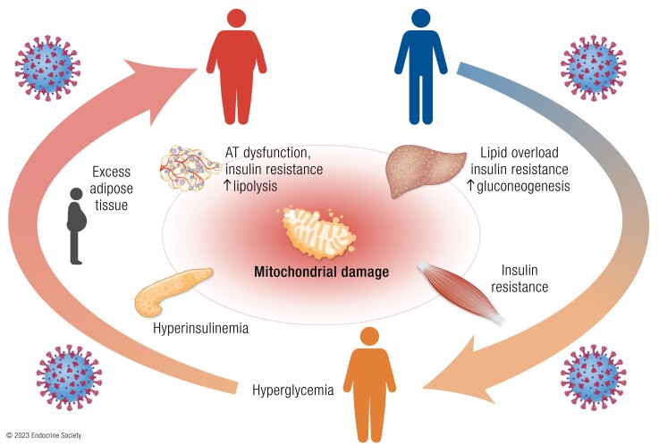 Graphical Abstract