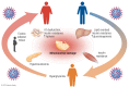 Graphical Abstract