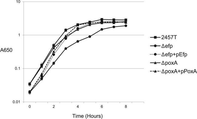 FIG 2