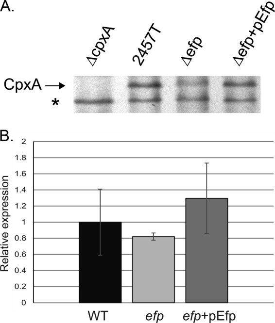 FIG 8