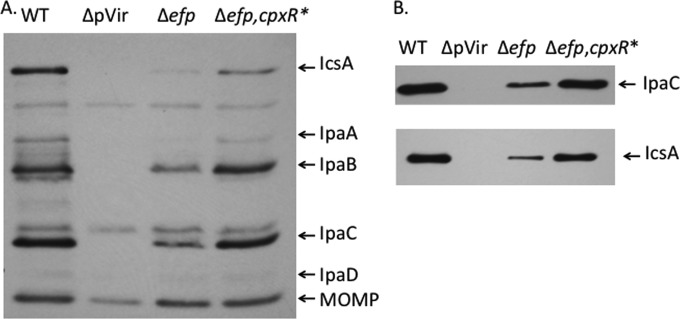 FIG 10