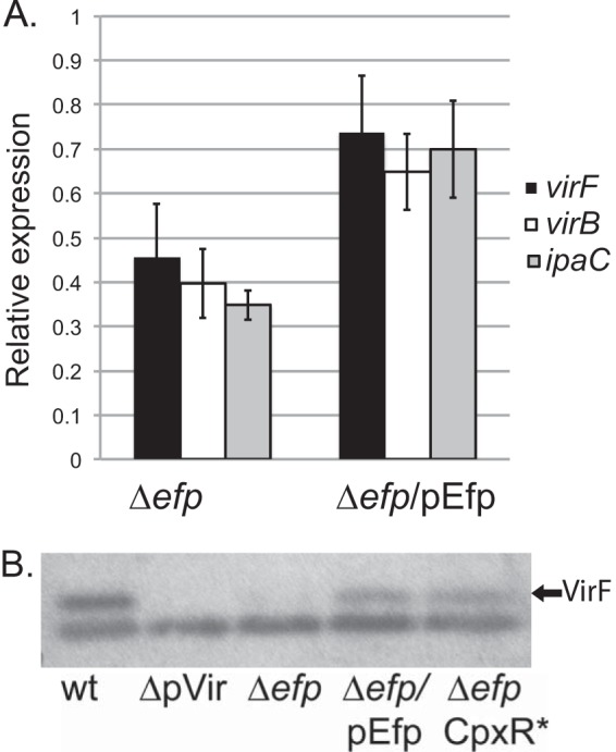 FIG 7