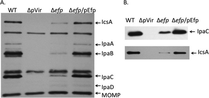 FIG 4