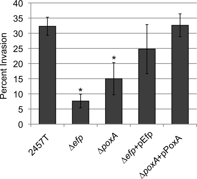 FIG 5