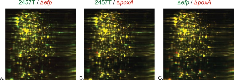 FIG 3