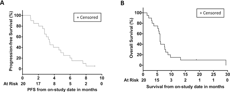 Figure 2: