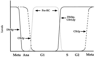 FIG. 6