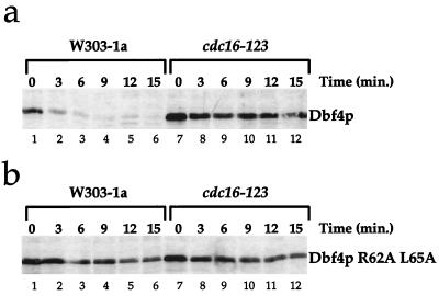 FIG. 5