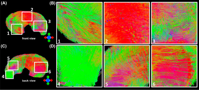 Figure 5