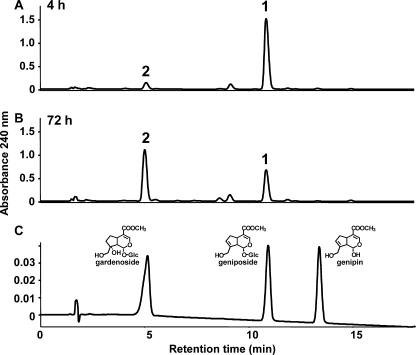 FIGURE 2.