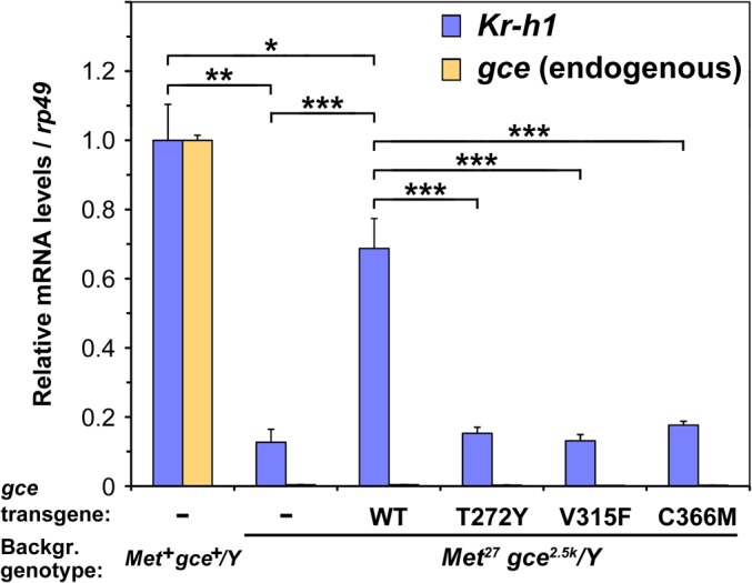 Fig 4