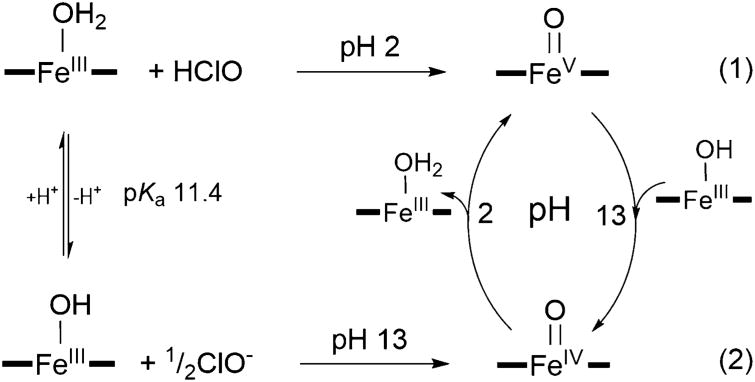 Scheme 1