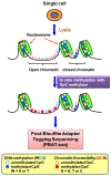 Figure 4: