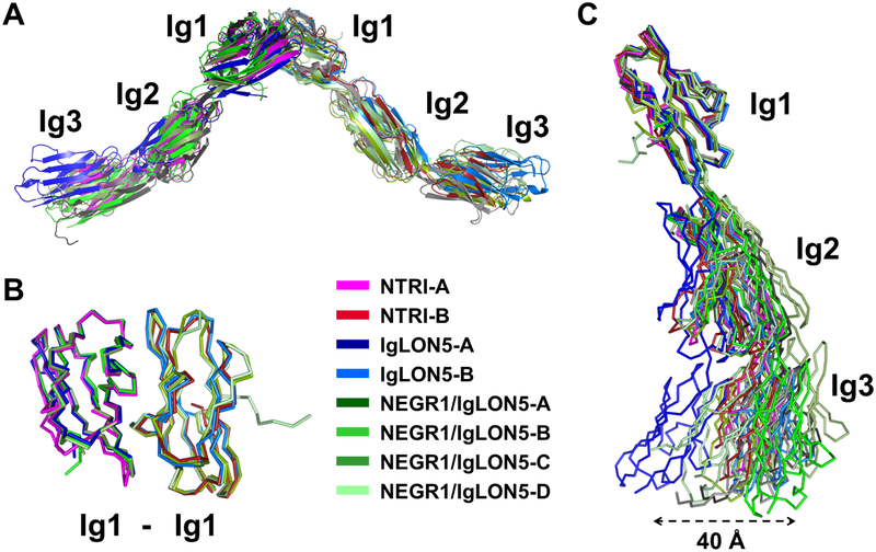 Figure 5 –