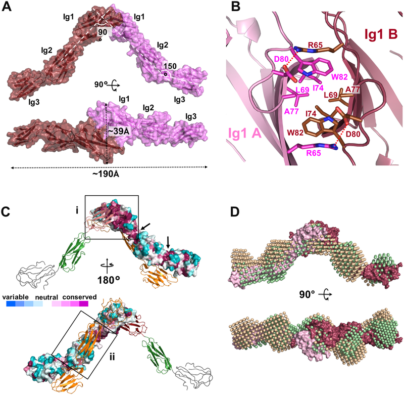 Figure 4 –